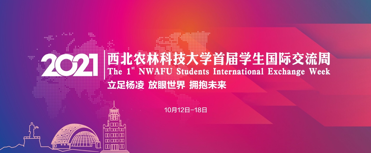 e85d5a83b63f40948c73747c2aaf1f1e.jpeg image.jpeg