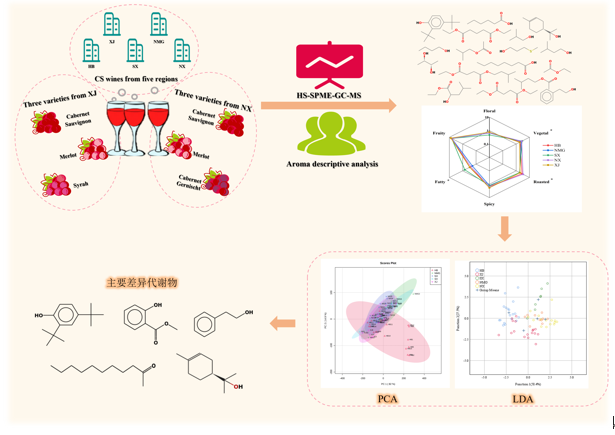 55cee617078b464086182772f1e82a37.png 55cee617078b464086182772f1e82a37.png